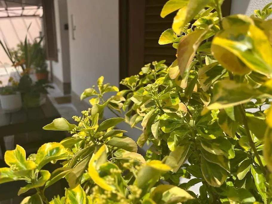 Green Villa - Citydoor Lacchiarella Italia